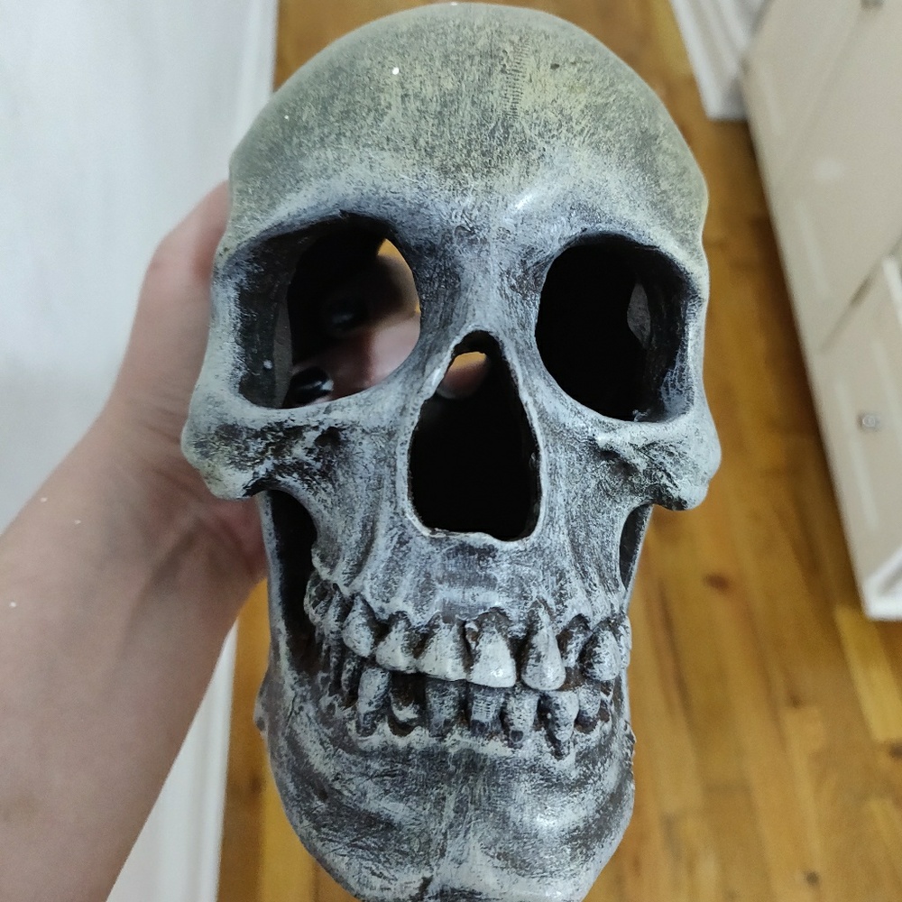 Skull Reptile hide